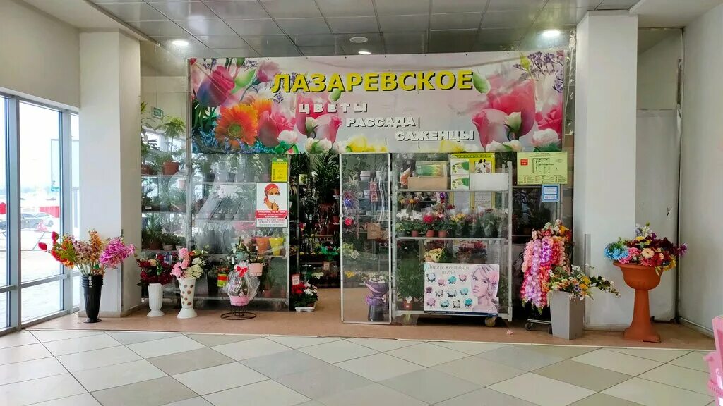 ярославль тутаевское шоссе 1 лазаревское цветочный. цветочный магазин лазаревское ярославль. питомник растений ярославская область лазаревское. лазаревское ярославль магазины. цветочный магазин рыбинск лазаревское.