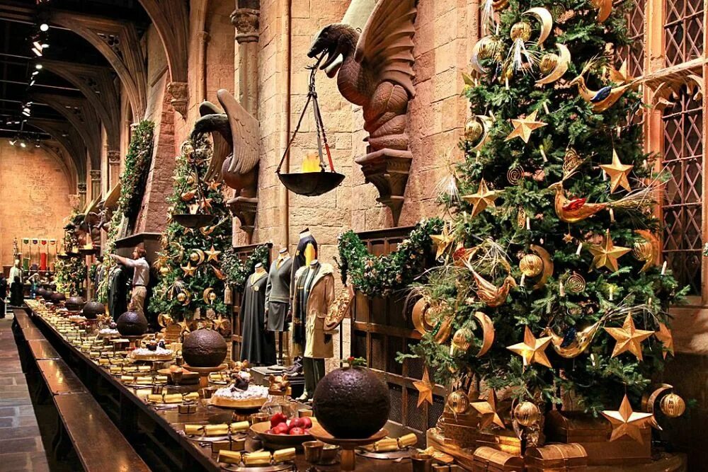 Harry potter new year