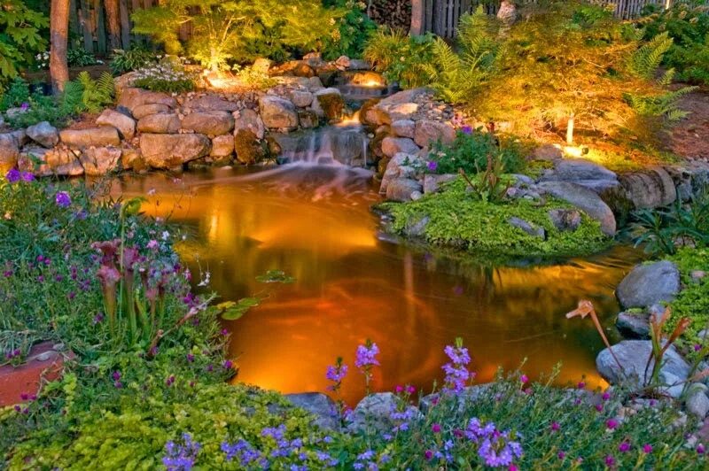 Освещенность водоемов. Водоем в саду. Пруд в саду. Подсветка пруда на даче. Декоративное освещение водоема.