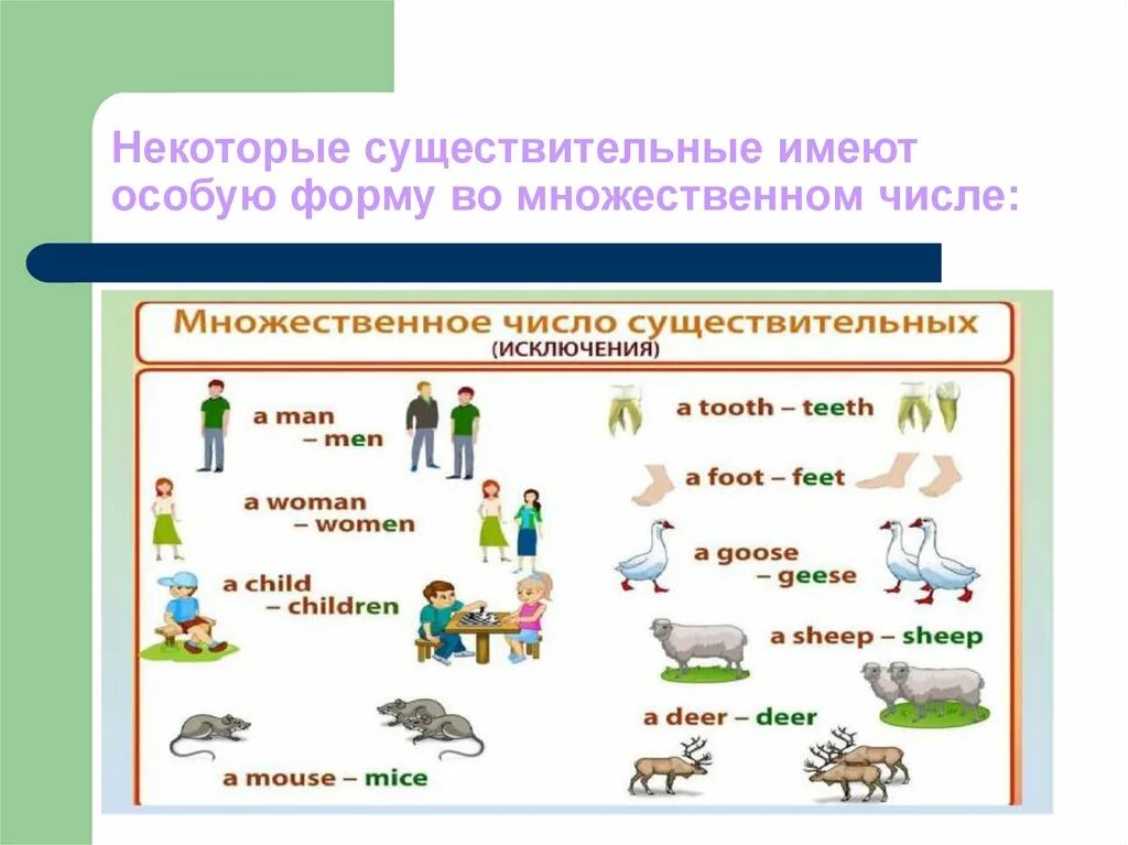 Существительные всегда во множественном. Образование единственное и множественное число имен существительных. Особые формы множественного числа в англ. Формы мн числа существительных в англ яз. Множественное число существительных.