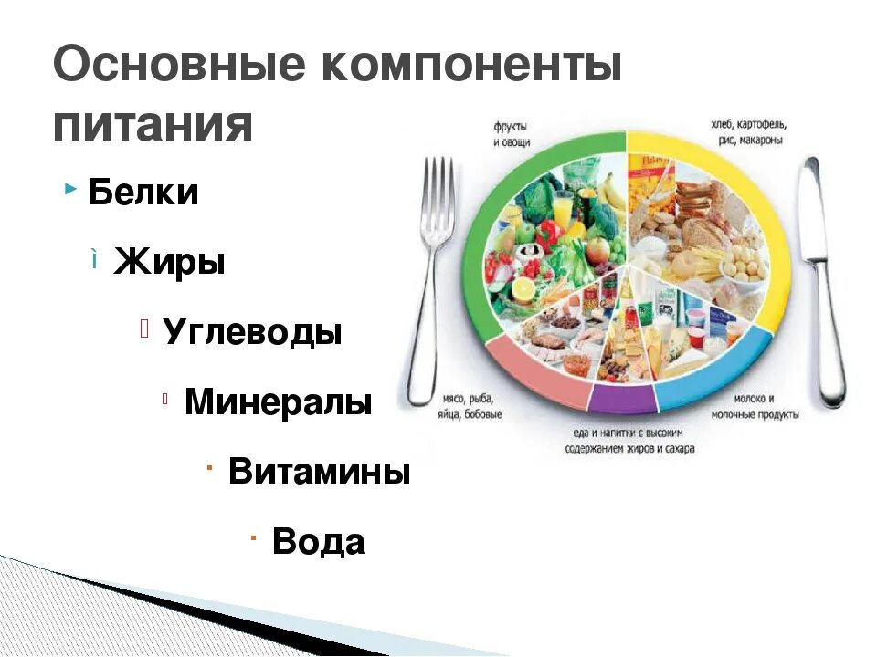 Рацион питания белки жиры углеводы схема. Схема правильного питания белки жиры углеводы. Рациональное питание белки жиры углеводы. Основы рационального питания белки жиры углеводы.