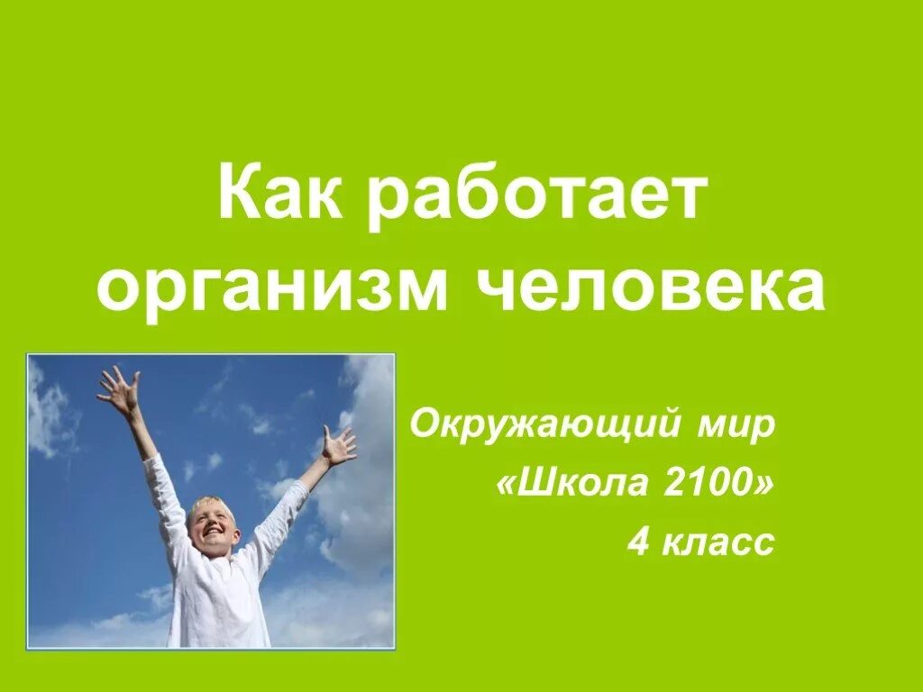 Как работай организм. Как работает организм человека. Как работает организм человека 2 класс. Как работает организм человека 2 класс окружающий. Презентация как работает наш организм 3 класс