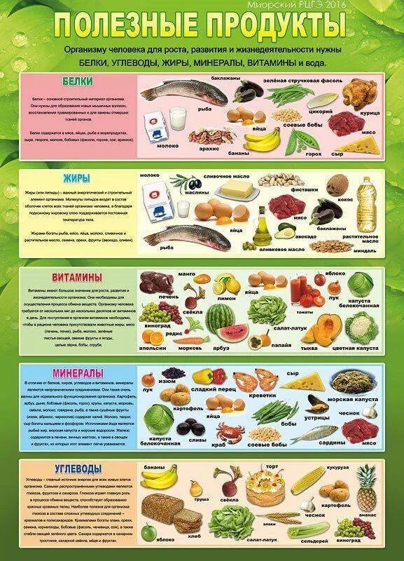 Какие продукты питания необходимо включить. Список полезной еды. Полезные продукты питания. Самые полезные продукты. Список полезных продуктов питания.