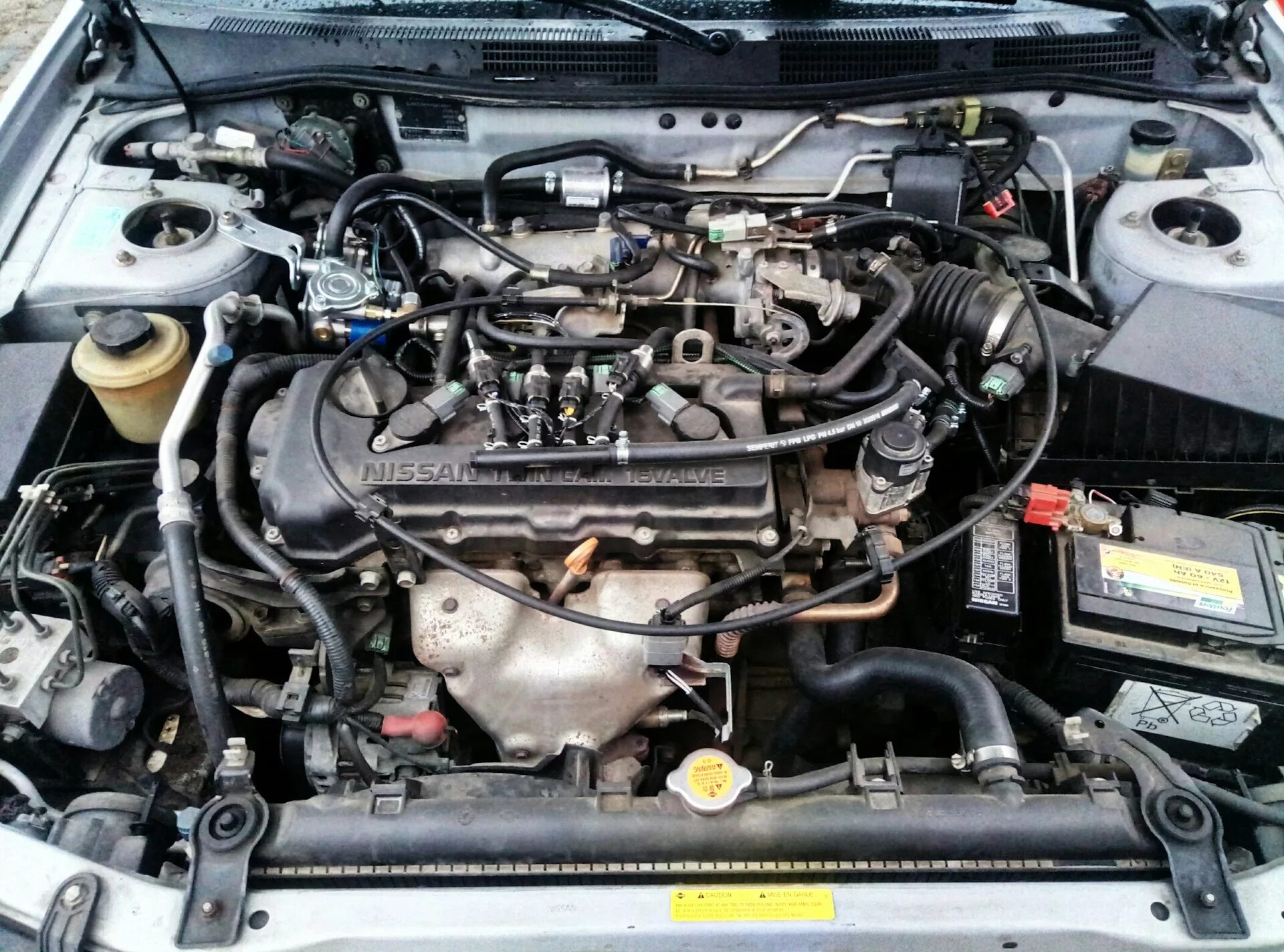 Ремонт мотора - Nissan Primera (P11-144), 1,8 л, 1999 года запчасти DRIVE2
