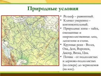 Распредели компоненты природы по группам рельеф климат