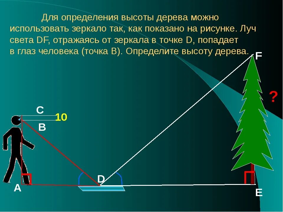 Высота 8. Определить высоту дерева. Измерение высоты дерева. Подобие практические задачи. Измерение высоты предмета на местности.