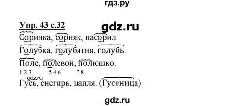 5 класс номер 43