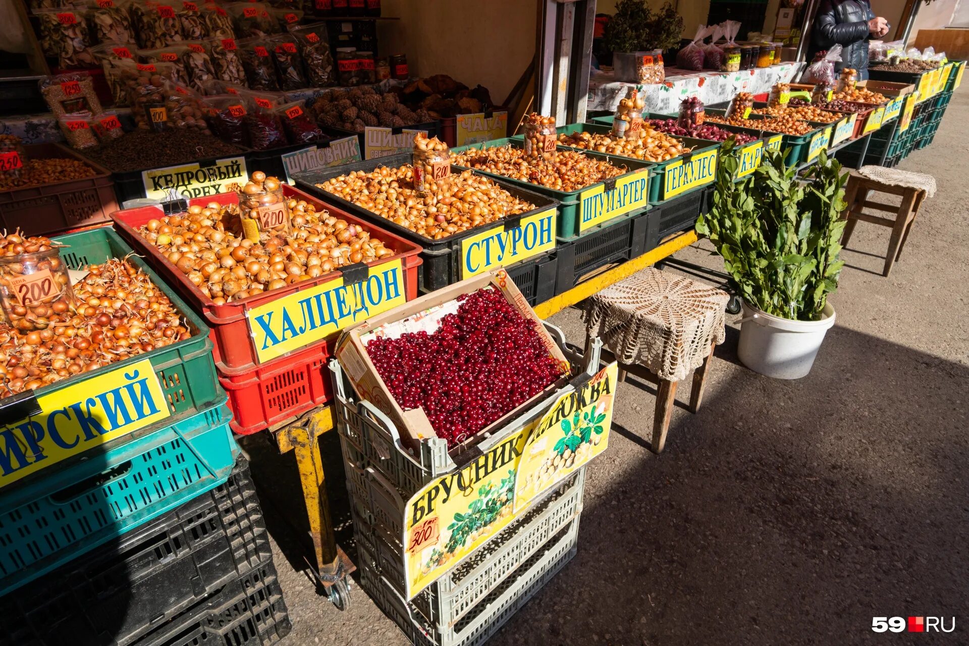 Центральный рынок пермь режим. Магазин на центральном рынке пермь. Центральный рынок, пермь, улица пушкина. Rostic's пермь центральный рынок. 41 рынок.