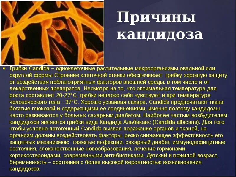 Кандидоз слизистой оболочки полости рта