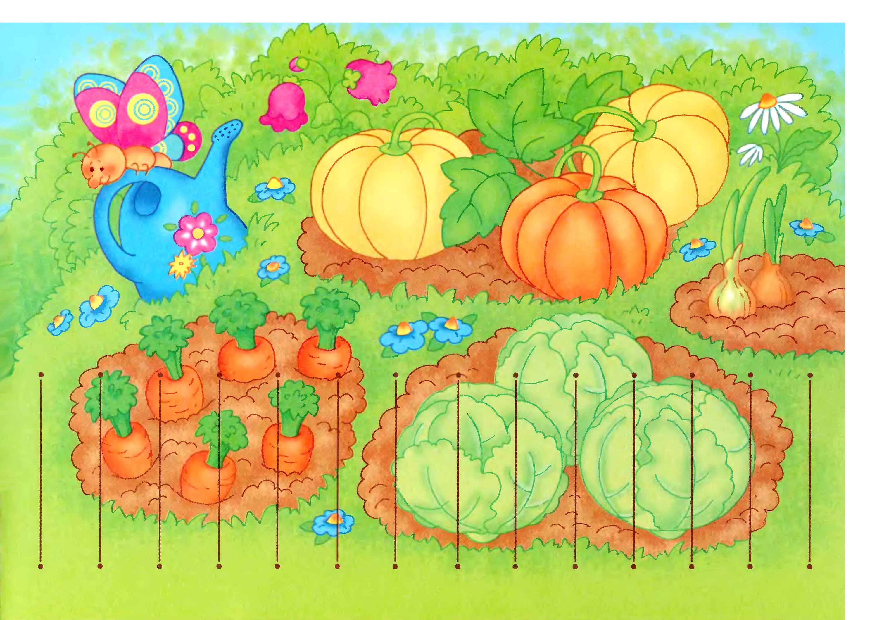 Тема недели сад огород. Огород рисунок. Огород с грядками для детей. Огород с овощами для детей. Овощные задания для детей.