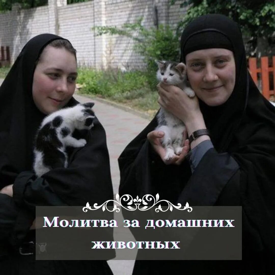 Дивеево монахини. Монашки живут в монастыре. Послушницы женского монастыря. Женское монашество. Монахини новодевичьего монастыря.