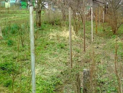 Столбы ровно