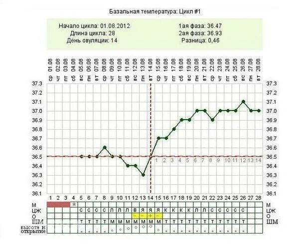 Температура после родов норма