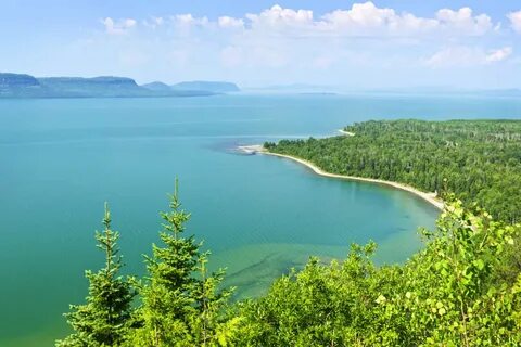 Гурон соленое или пресное