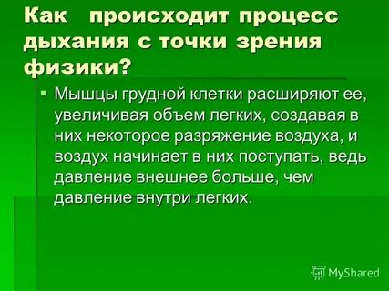 Что такое древесина с точки зрения физики