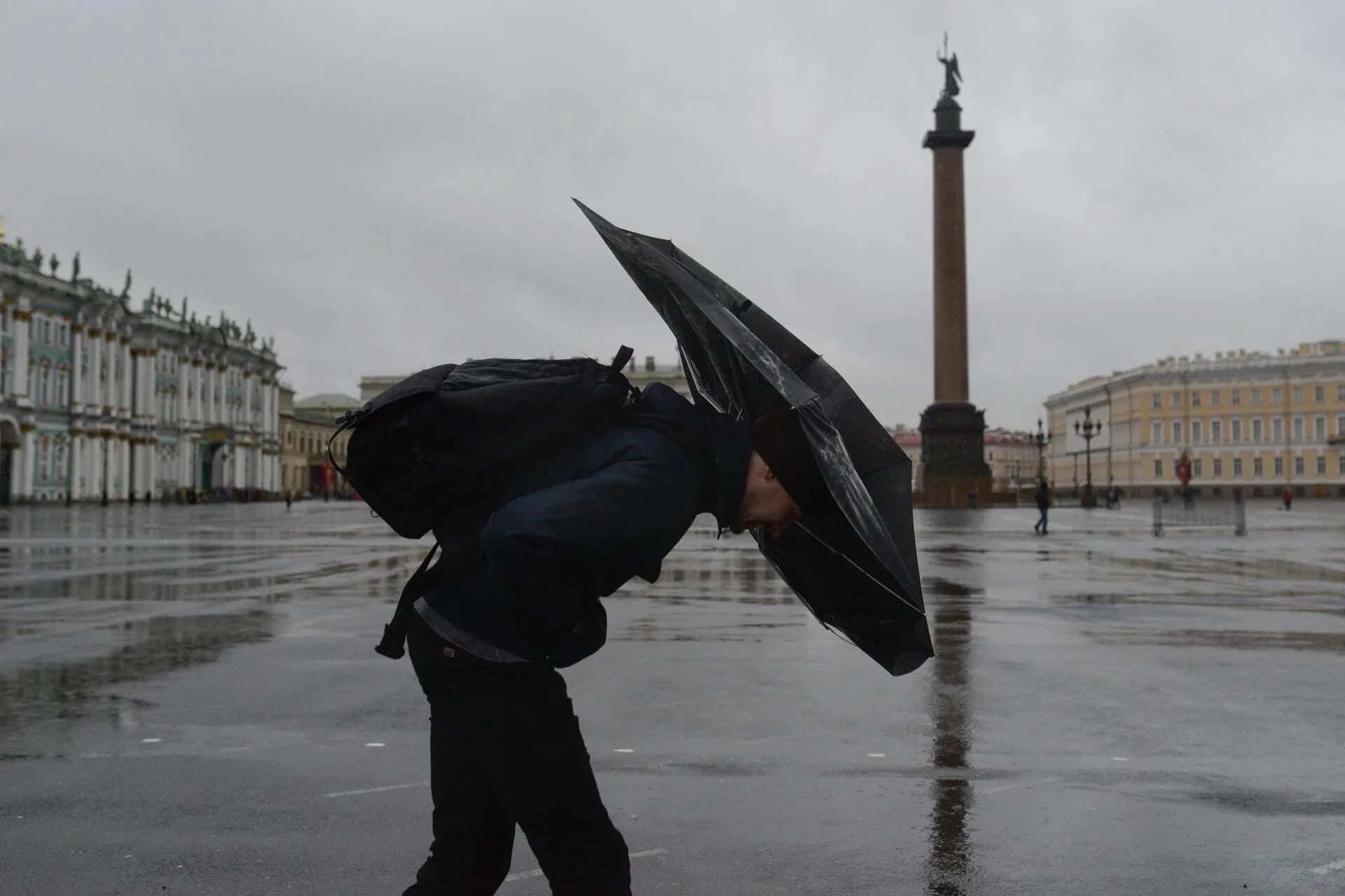 Погода в питере. Сильный ветер в санкт-петербурге. сильный ветер в питере. непогода в петербурге. сильныйвете в петербурге.