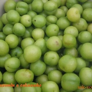 Алыча зеленая что приготовить