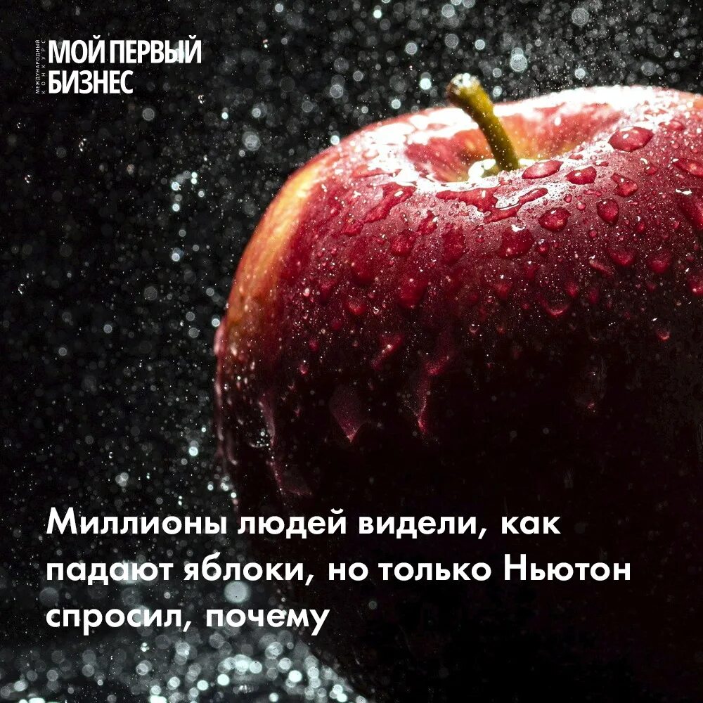 Мимо яблоньки. Миллиона людей видели как падают яблоки. Почему падают яблоки. Яблоки падают вверх цитаты. Почему яблоко падает на землю.