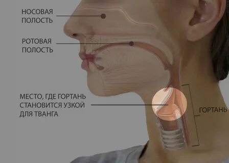 Петь гортанью