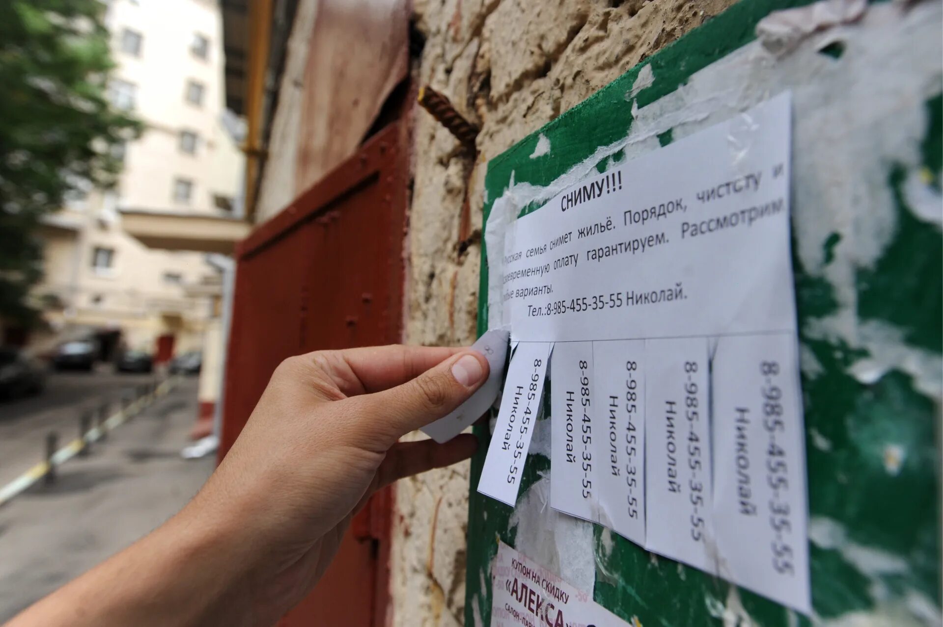 Объявления собственников квартир. Объявление о сдаче квартиры. незаконная сдача жилья. ищу жилье. сдача квартиры жильцам.