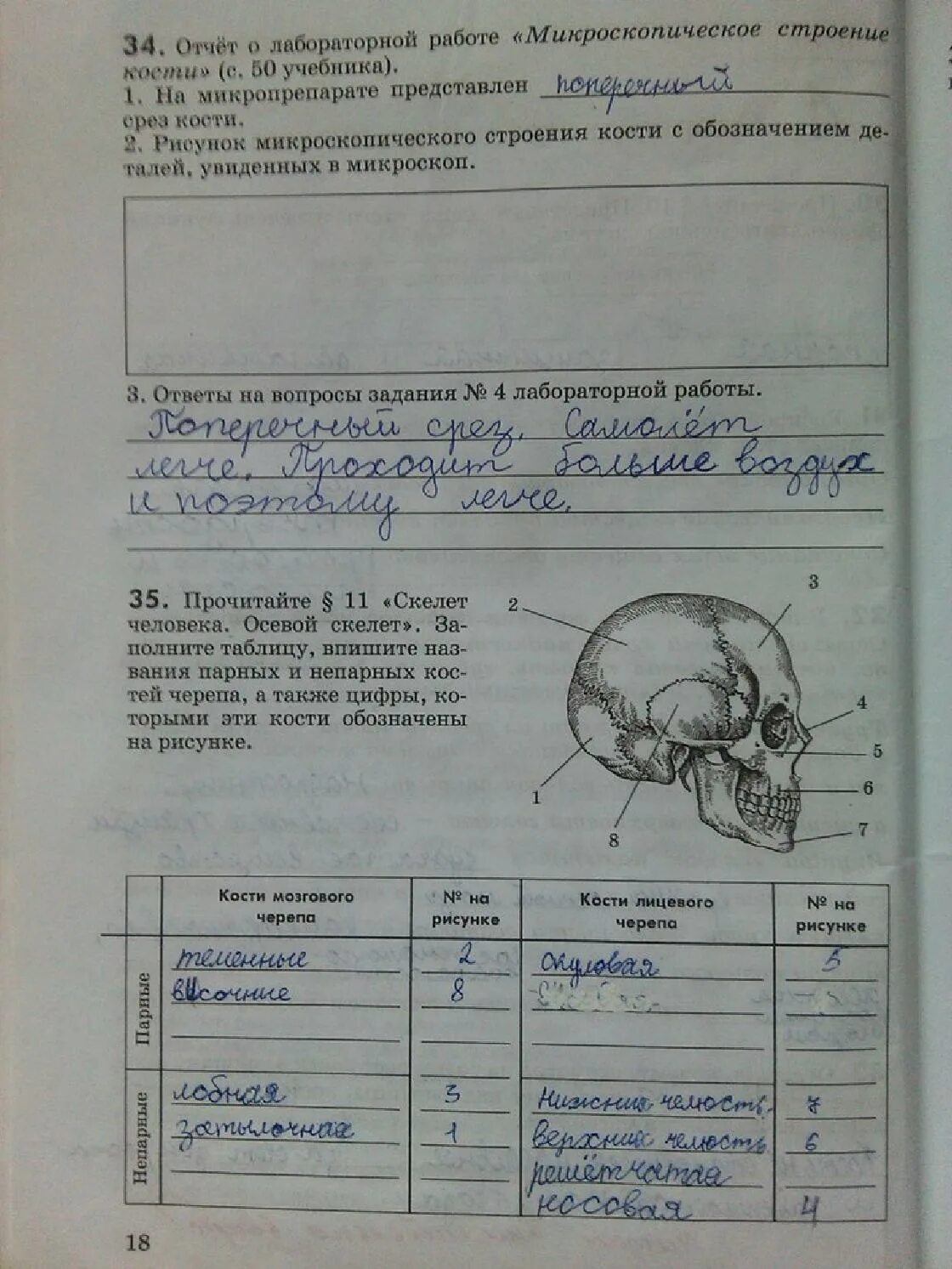 Номер 123 биология рабочая тетрадь Сонин. Тетрадь лабораторная Сонин биология 6 класс. Тетрадь для лабораторных работ по биологии. Лабораторная по биологии 8 класс микроскопическое строение кости.