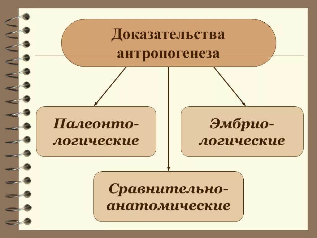 Пути достижения биологического прогресса. Пути биологического прогресса, общая дегенерация. Пути достижения биологического прогресса ароморфоз. Биологический Прогресс ароморфоз общая дегенерация.