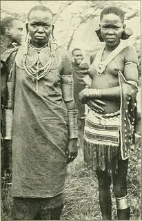 Ересектерге арналған порно