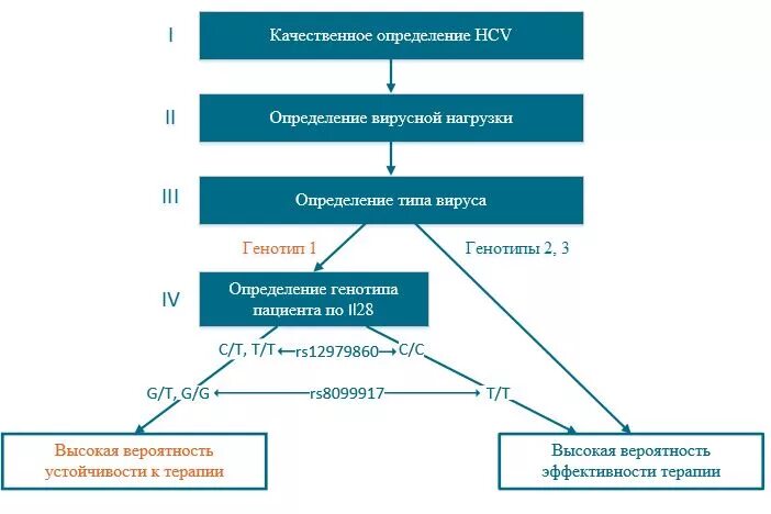 Генотип пациента. Алгоритм анализа крови генотипа. Генотипирование схема. Лучшая схема лечения гепатита с 3 генотип.