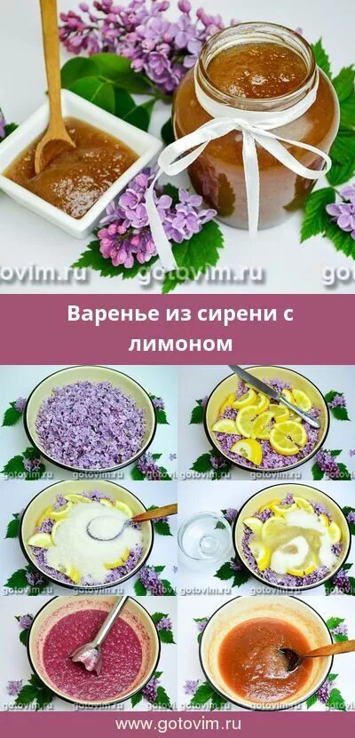 Сирень варенье. Варенье из сирени рецепт. Варенье из сирени фото. Варенье из сирени рецепт с пошаговым фото. Варенье из сирени