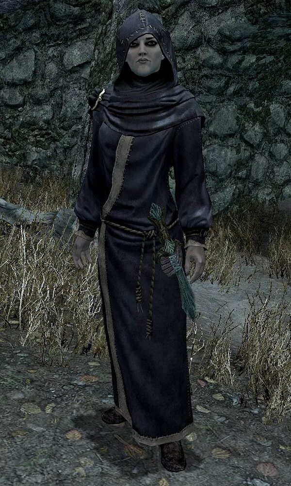 Skyrim elder scrolls wiki. Иллия the elder scrolls. skyrim иллия. иллия скайрим без капюшона. илия скайрим.