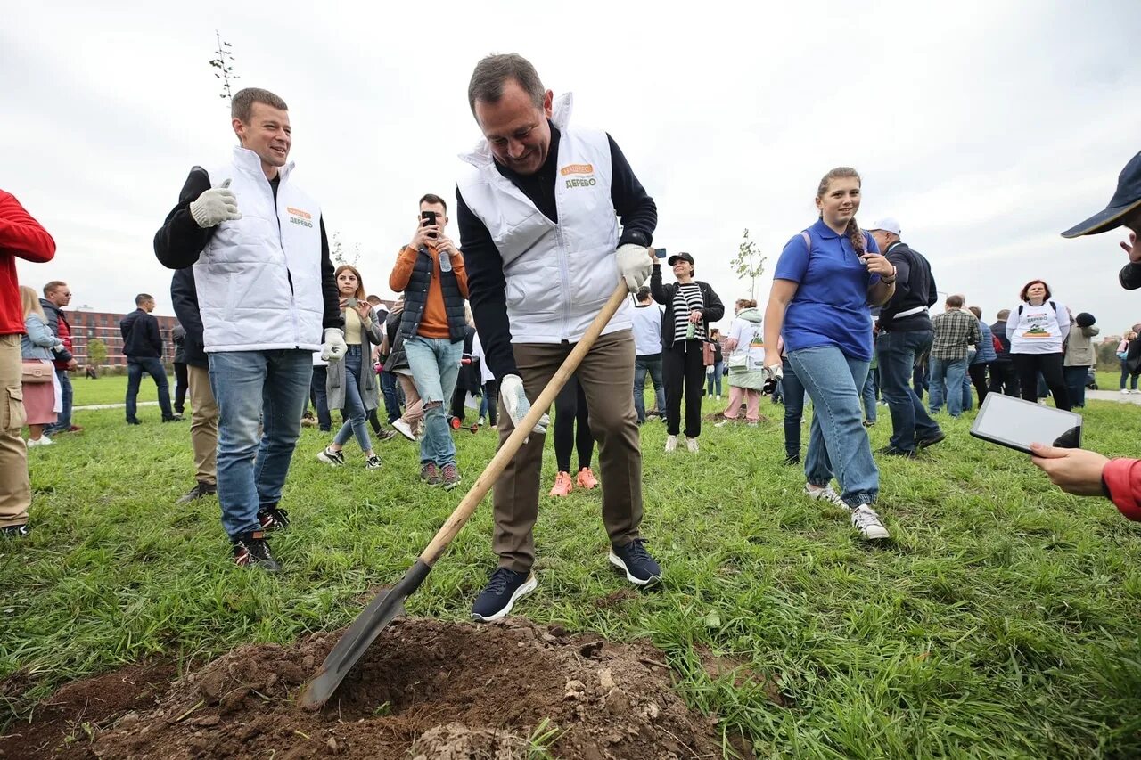 Более 11 тысяч деревьев высадили в Ховалингском районе. Наш лес посади свое дерево. Акция Черешневый лес садят деревья. Сажают парк.