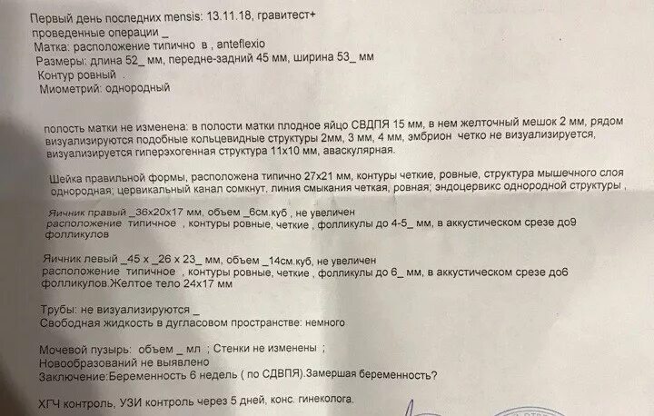 На каком сроке угроза выкидыша. Замершая беременность 6 недель протокол УЗИ. УЗИ 6 недель беременности заключение. Заключение УЗИ замершей беременности 7 недель. УЗИ при замершей беременности 6 недель.