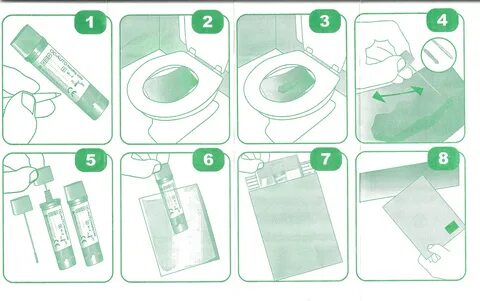 Собрать кал за сутки до сдачи FotoStock74.ru