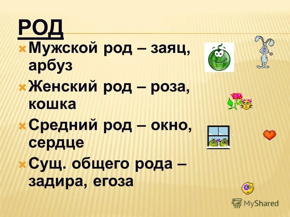 Заяц какой род. Задира род. Какой род у слова заяц. Зайцы (род).