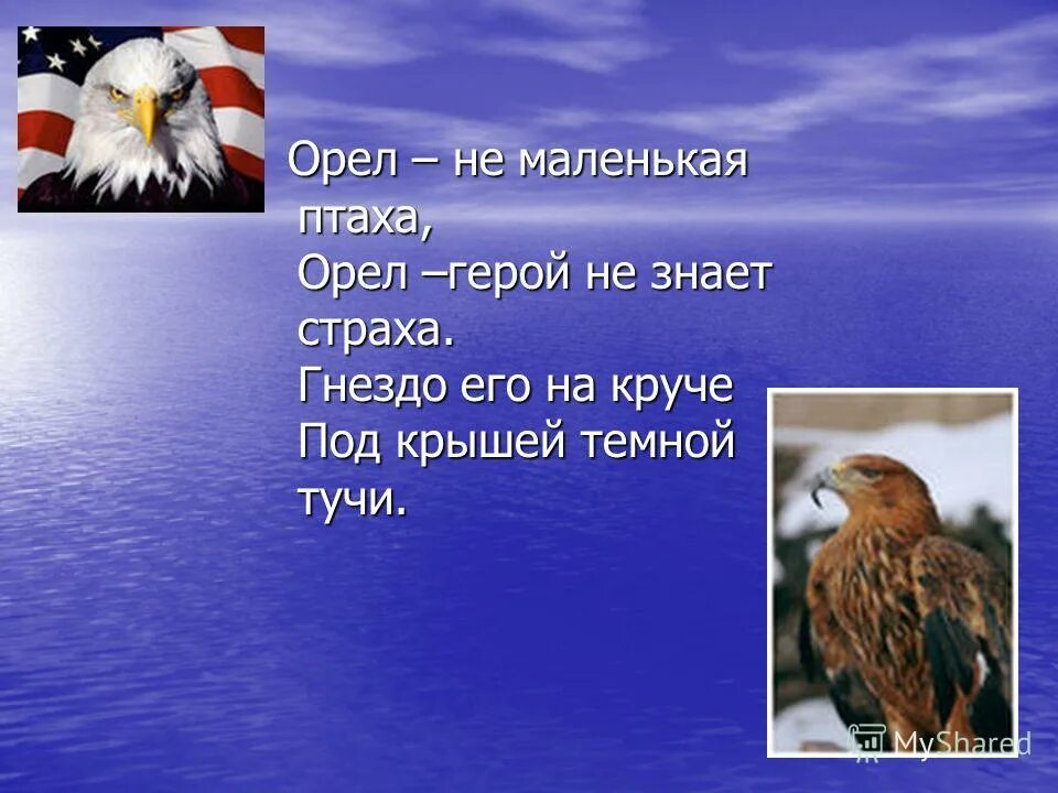 Девиз птиц. Стих про орла. Девиз к названию Орлы. Отряд Орлы девиз. Орел презентация.