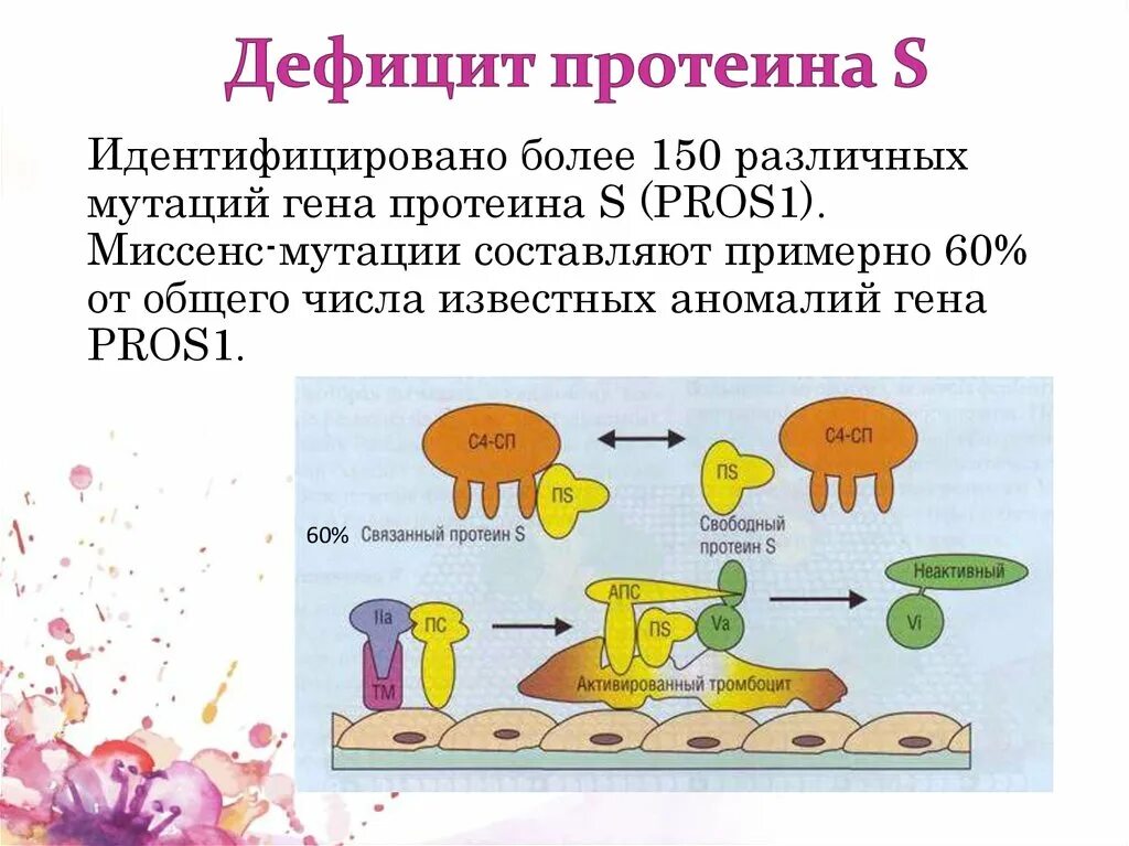 Протеин понижен