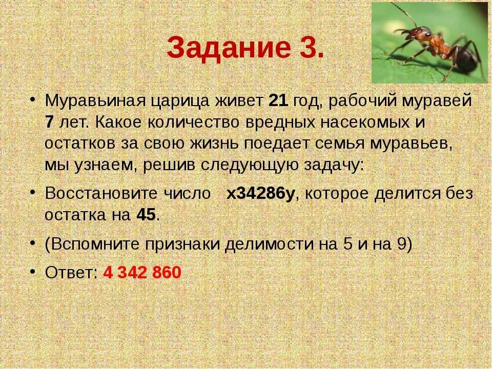 Муравьев годы жизни. Задания про муравьев для детей. Задание муравей. Задание про муравьев для детей интересные. Задача про муравья.