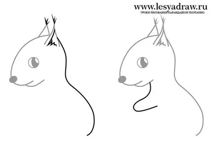Как быстро нарисовать белку