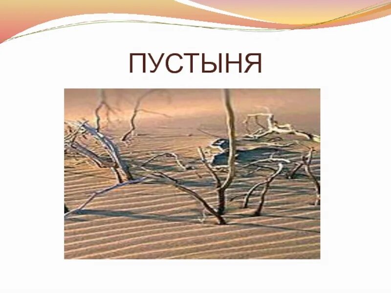 Конспект урока пустыня 4 класс. Пустыни 3 класс. Пустыня 3 класс. Пустыни 3 класс окружающий мир. Пустыня 3 класс окружающий мир.