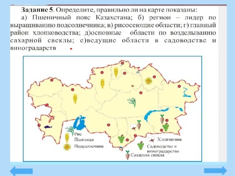 Рис экономические районы. Растениеводство Казахстана карта. Сельское хозяйство Казахстана карта. Сельскохозяйственные районы Казахстана. Экономическая карта РК.