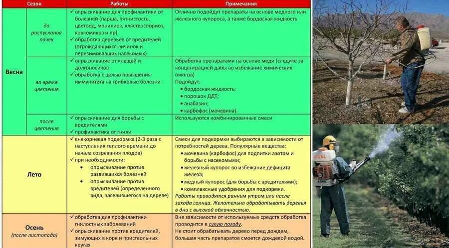 Сколько раз можно обрабатывать