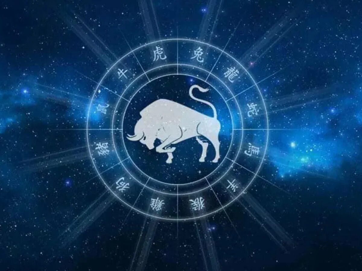 2022 какого знака зодиака. Бык гороскоп. Зодиакальные животные. Бык Зодиак. Китайский гороскоп бык.