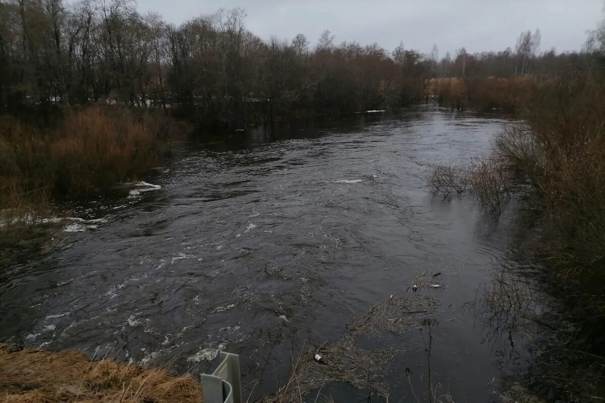 Подтопление в Темкинском районе Смоленской области. Река Воря Темкинский район. Подтопление Смоленск. Смоленская область реки. Уровень воды в реке смоленск