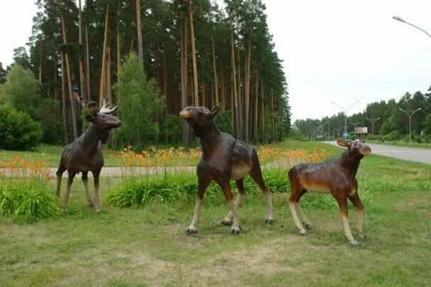 Пензенский лось. Памятник лосям Заречный Пензенская область. Заречный памятник лосю. Лоси в Заречном Пензенской области. Город Заречный Пензенская область лоси.