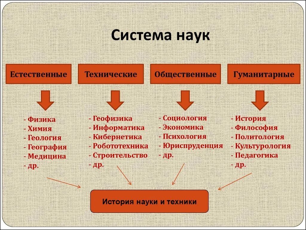 К каким наукам относится общество