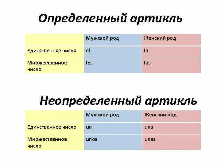 Мужской и женский род. Артикли женского рода. Жесткий род множественное число. Определенный артикль во множественном числе. Женский род множественное число.