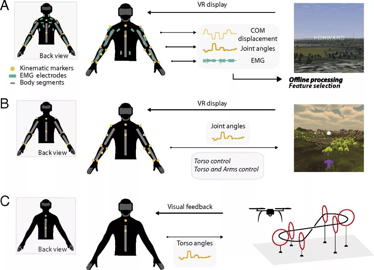 Movement control. Kinematic scheme. kinematic human arm. kinematic body 3d где. kinematic controller.