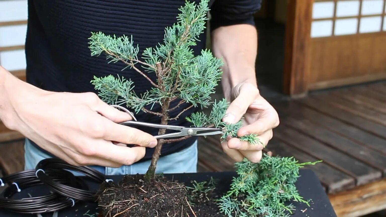 Хвойный коктейль. Елочная веточка из бумаги. Ветка елки из гофрированной бумаги. Как сделать хвою. Хвоя из ниток.