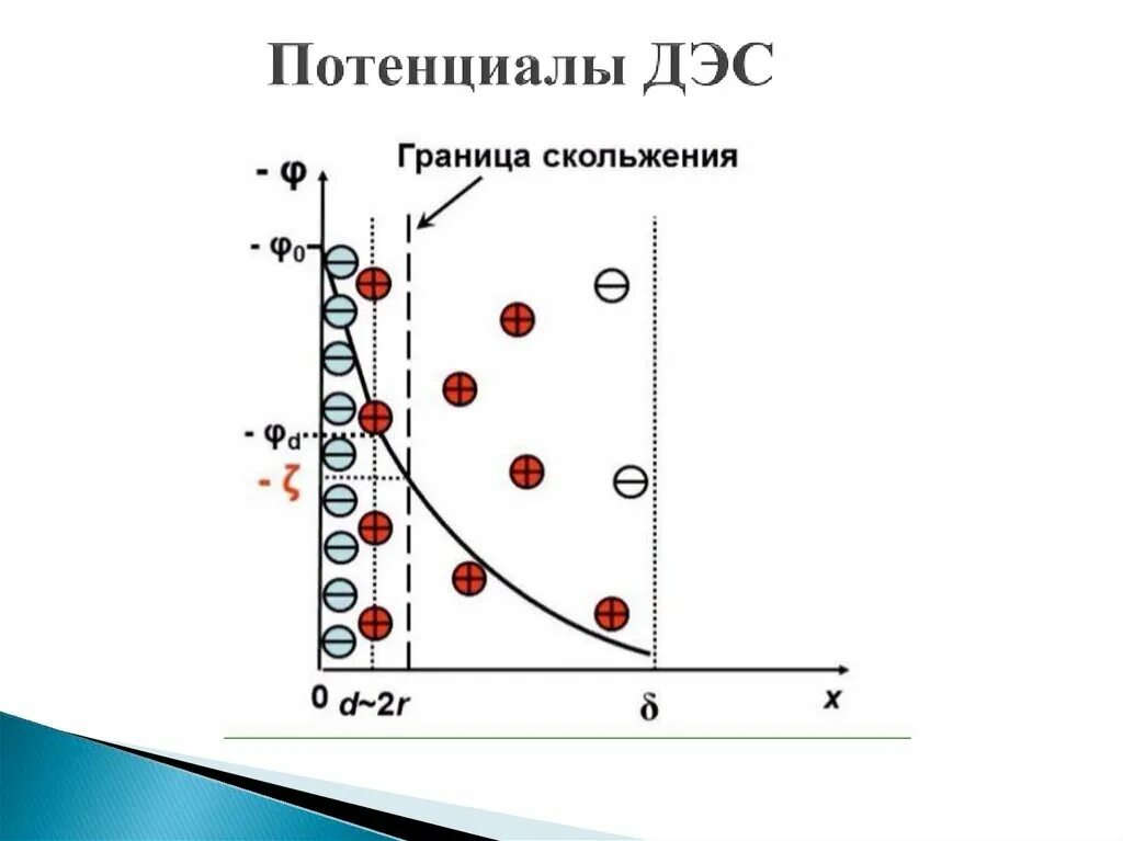 Двойной электрический слой. Потенциалы ДЭС. ДЭС двойной электрический слой. Строение двойного электрического слоя ДЭС. Потенциальный слой