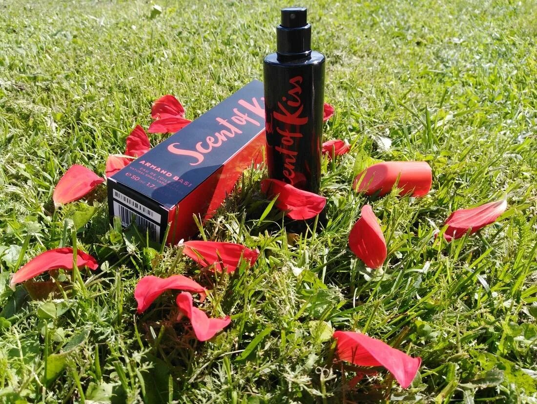 Armand basi kiss. Armand basi Scent of Kiss EDT 50ml Tester. Armand basi Scent of Kiss Lady 50ml EDT. Арманд баси Scent of Kiss. Armand basi Scent of Kiss.